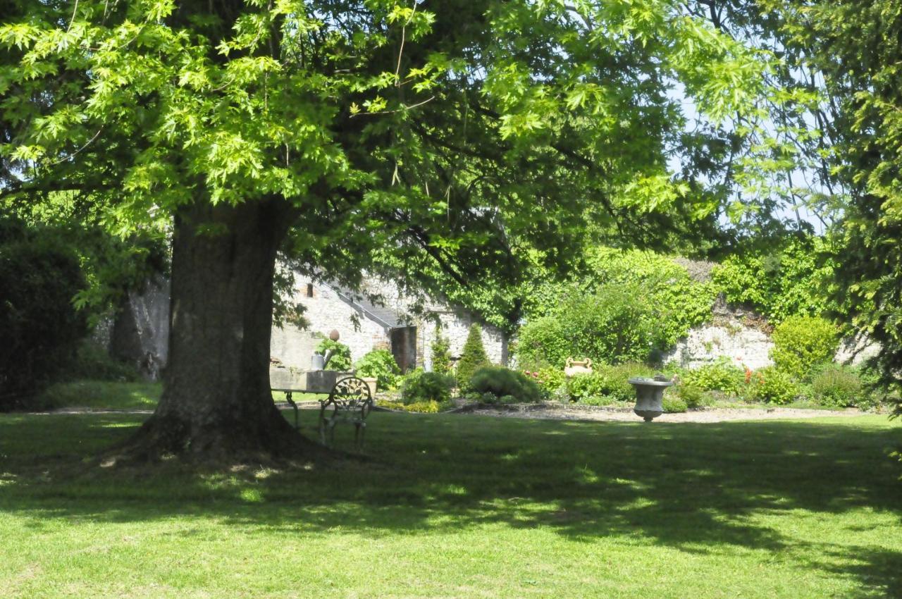 Chateau De St Sauveur D'Emalleville Exterior photo