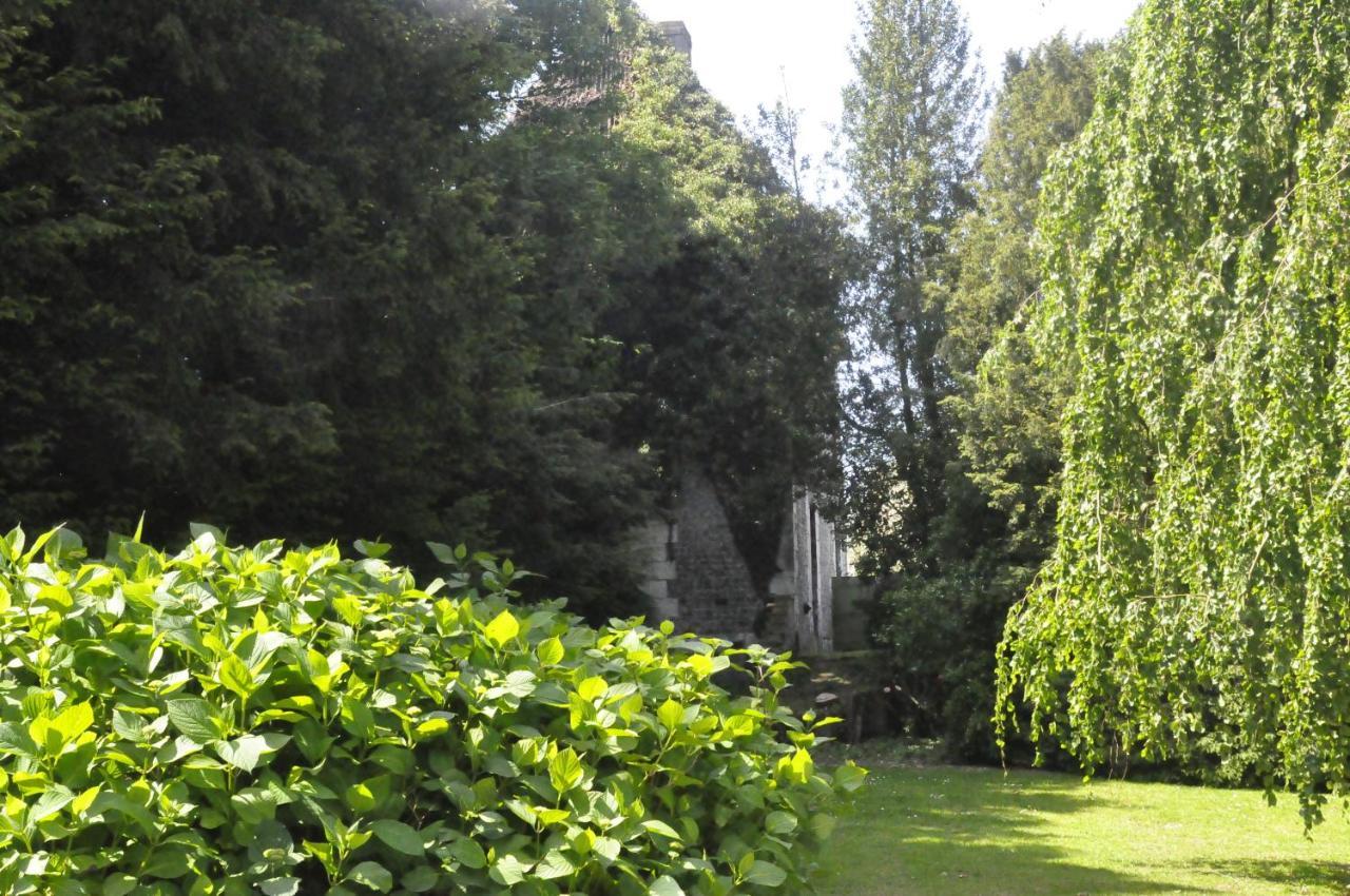 Chateau De St Sauveur D'Emalleville Exterior photo